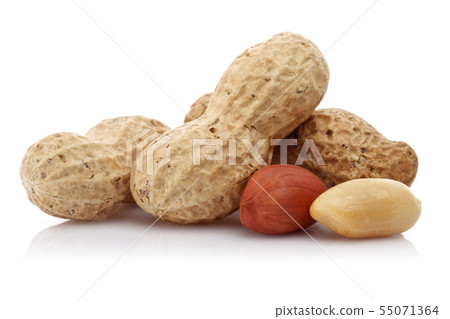 Peanuts isolated on white background 55071364