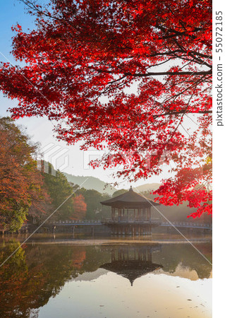 Morning Uki-do and Asahi Vertical Value 1 55072185