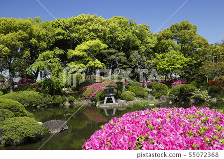 Japanese garden at Osaka Castle Park Japanese garden at Osaka Castle Park 55072368