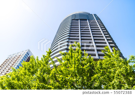 Urban landscape with green and tower apartment 55072388
