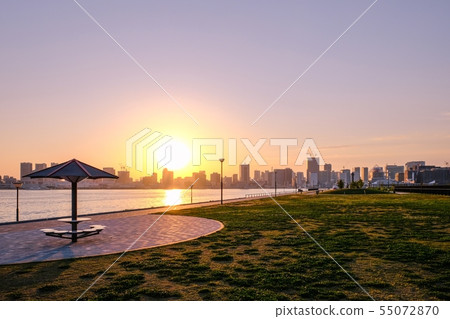 Toyosu-gururu公園的風景（夜景） 55072870