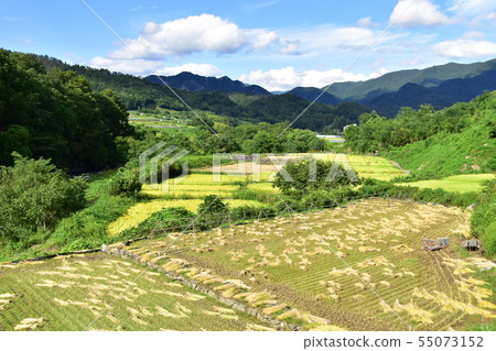 Shosenkyo綠線風景 Shosenkyo綠線風景 55073152