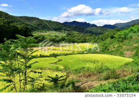 Landscape of Shosenkyo Green Line 55073154
