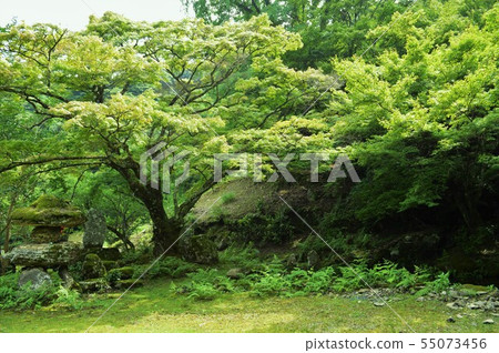 Kamijoji寺廟的理由 55073456