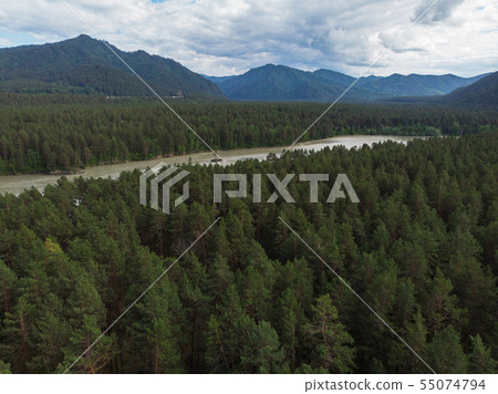 Aerial view of Katun river 55074794