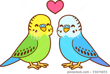 Cute cartoon budgie couple 55074855
