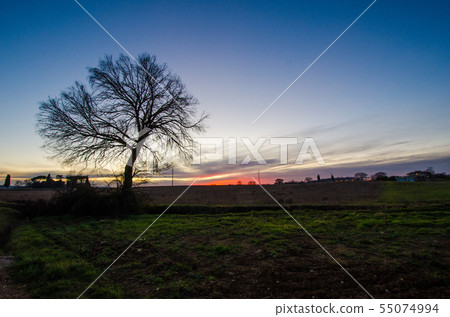 Sunset on the outskirts of Montalcino, Tuscany, Italy 55074994