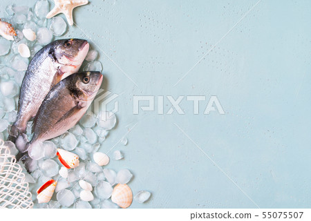 Blue background with fresh dorado and crushed ice Blue background with fresh dorado and crushed ice 55075507