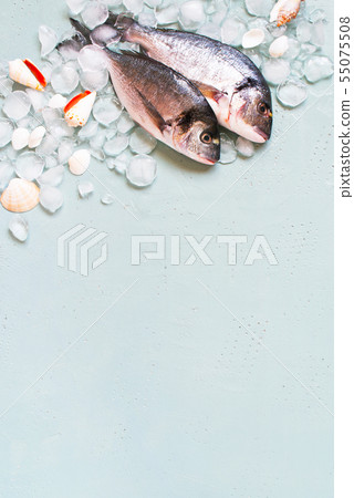 Blue background with fresh dorado and crushed ice Blue background with fresh dorado and crushed ice 55075508