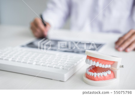 Male doctor or dentist writing report working with Male doctor or dentist writing report working with 55075798