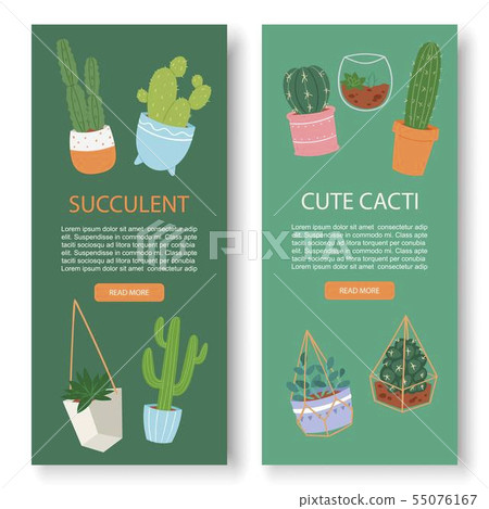 Succulents and cactus vertical botanical vector banners. Greenery lush, cacti, succulents, leaves Succulents and cactus vertical botanical vector banners. Greenery lush, cacti, succulents, leaves 55076167