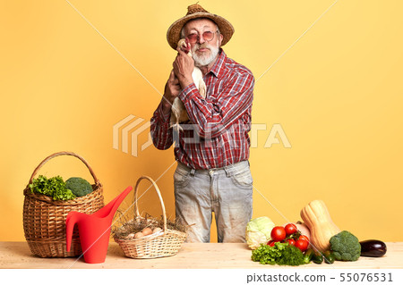 Senior gardener, posing with hen in hands, standing behind counter with vegetables Senior gardener, posing with hen in hands, standing behind counter with vegetables 55076531