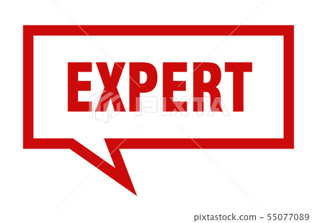 expert sign. expert square speech bubble. expert 55077089