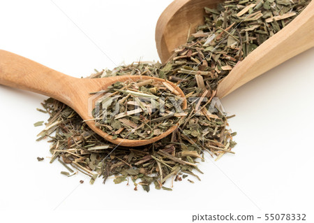 Himesuba (Seep Sorel): Sheep Sorrel 55078332