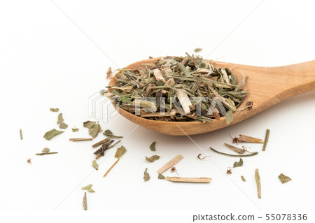 Himesuba(Seep Sorel):綿羊酢漿草 Himesuba(Seep Sorel):綿羊酢漿草 55078336