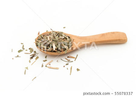 Himesuba（Seep Sorel）：綿羊酢漿草 55078337