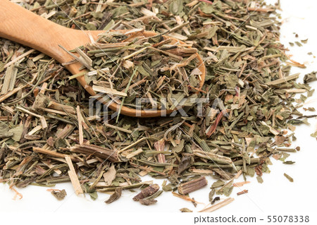 Himesuba (Seep Sorel): Sheep Sorrel 55078338