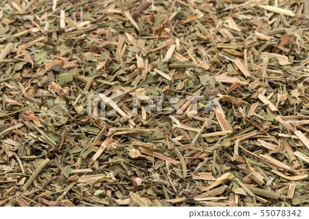 Himesuba(Seep Sorel):綿羊酢漿草 Himesuba(Seep Sorel):綿羊酢漿草 55078342