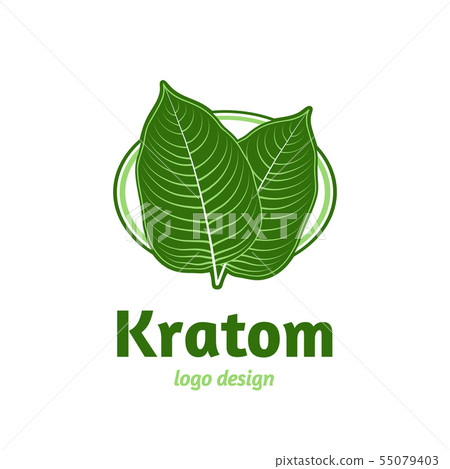 Mitragyna speciosa, kratom leaf logo template 55079403
