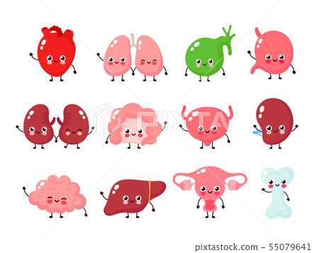 Cute happy human healthy strong organs set. Cute happy human healthy strong organs set. 55079641