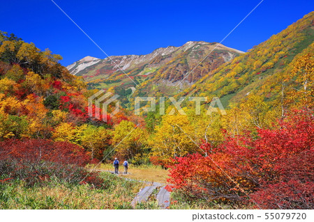 Autumn leaves of Nagano Konoike Natural Garden Autumn leaves of Nagano Konoike Natural Garden 55079720