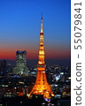 東京鐵塔夜視圖 55079841