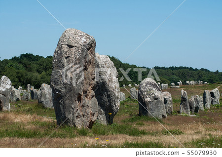 view of famous megalith alignment in Carnac 55079930