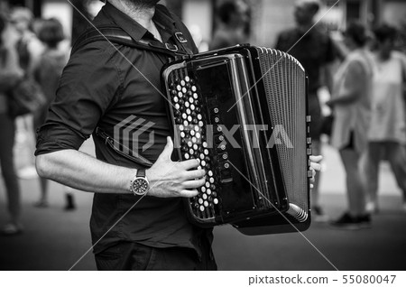 closeup of hands of accordionist playing accordion 55080047