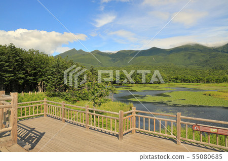 知床五湖_知床山和湖畔天文台的一湖_七月 55080685