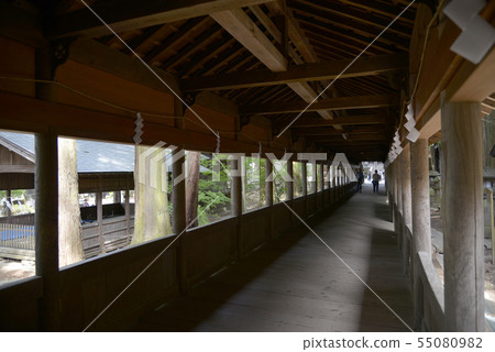 Su訪Taisha Futabashi 55080982