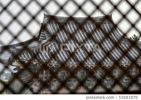 Yakcheon寺，Jungmun，西歸浦市，濟州島 55081970