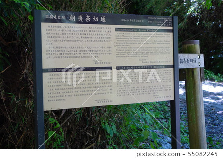 朝日娜減少了 55082245