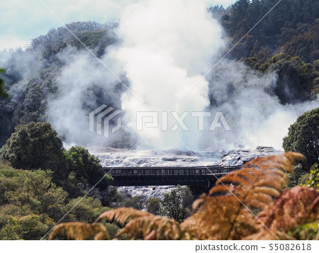 Rotorua te Puia Pohutzgeiser Pohutu Geyser，Te Puia，羅托魯瓦 55082618
