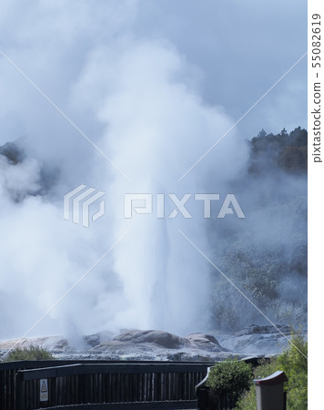 Rotorua te Puia Pohuts Geyser Pohutu Geyser, Te Puia, Rotorua 55082619