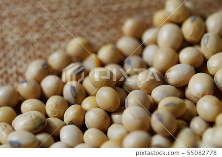 Close-up of soybean, dried soybeans Close-up of soybean, dried soybeans 55082778