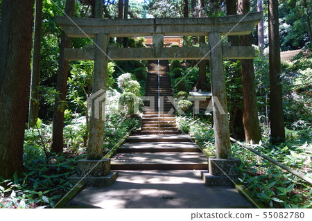 熊野神社 熊野神社 55082780