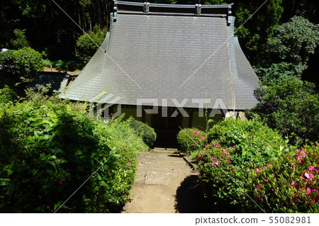 熊野神社 熊野神社 55082981