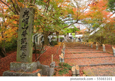 Autumn Pugongsa Temple 55083101