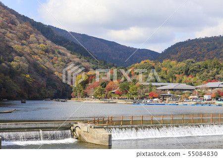 沿京都，Arashiyama，秋天，Oiso河的秋葉 55084830