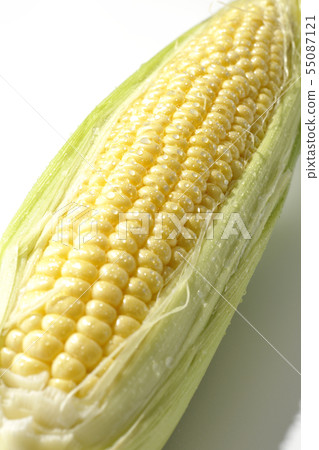 Morning harvesting corn 55087121