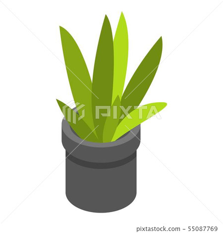 Office plant pot icon, isometric style 55087769