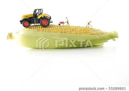 Corn and tractor 55089901