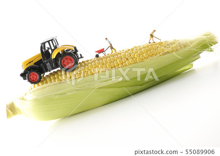 玉米和拖拉機 55089906