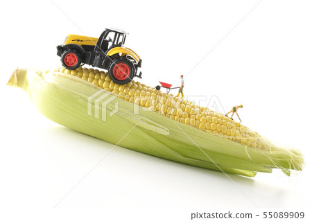 玉米和拖拉機 55089909