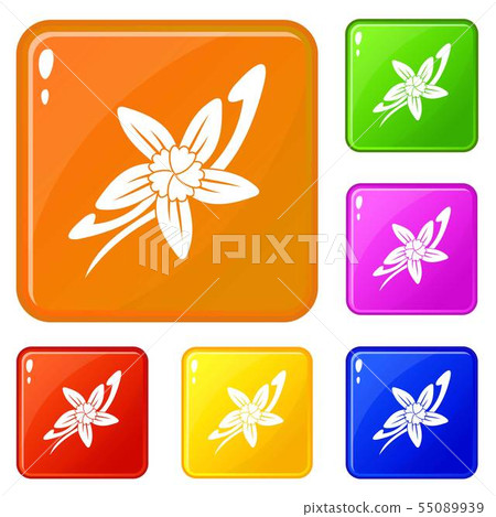 Vanilla sticks with a flower icons set vector color 55089939