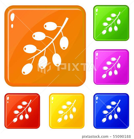 Barberry branch icons set vector color 55090188