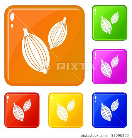 Cardamom pods icons set vector color 55090203
