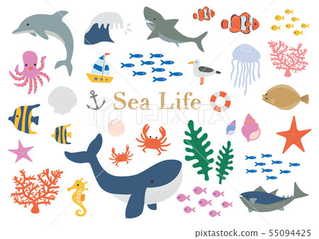 Sea creatures illustration set 55094425