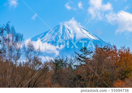 Beautiful landscape of mountain fuji with maple leaf tree around lake Beautiful landscape of mountain fuji with maple leaf tree around lake 55094736