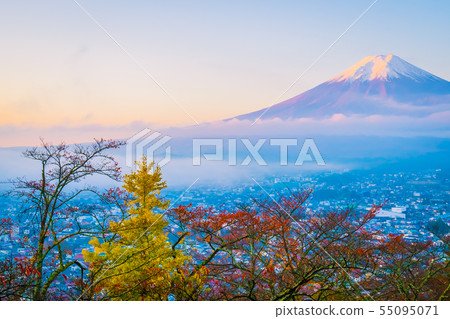Beautiful landscape of mountain fuji around maple leaf tree in autumn season 55095071